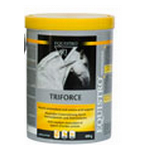 EQUISTRO TRIFORCE POUDRE ORALE B/600 G